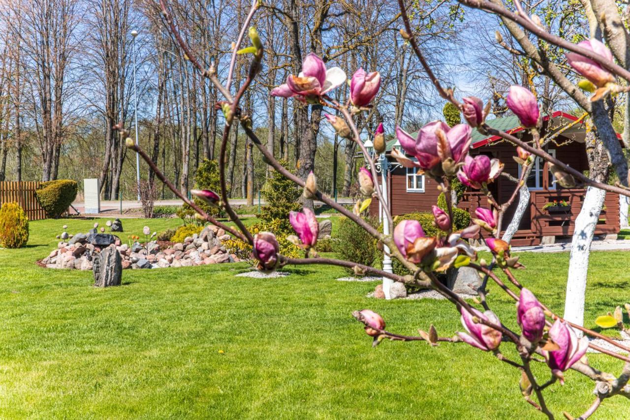 Villa Zaliasis Kampas Nameliai Sventojoje Šventoji Esterno foto